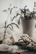 Atelier - Sagesse féminine